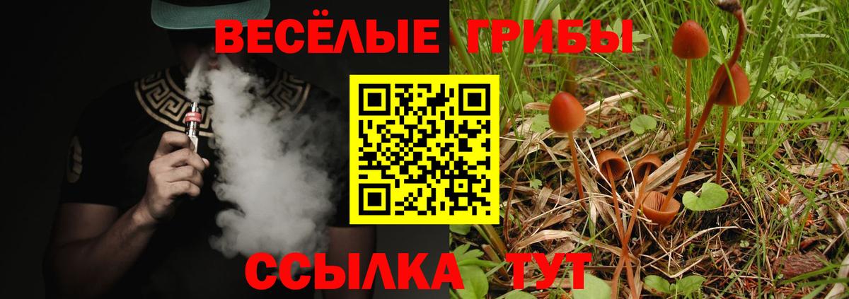Псилоцибиновые грибы Psilocybine cubensis Белая Калитва